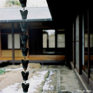 A rain chain at a Japanese temple
